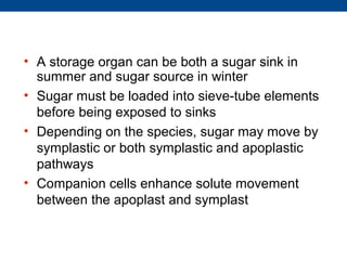 • A storage organ can be both a sugar sink in
  summer and sugar source in winter
• Sugar must be loaded into sieve-tube elements
  before being exposed to sinks
• Depending on the species, sugar may move by
  symplastic or both symplastic and apoplastic
  pathways
• Companion cells enhance solute movement
  between the apoplast and symplast
 