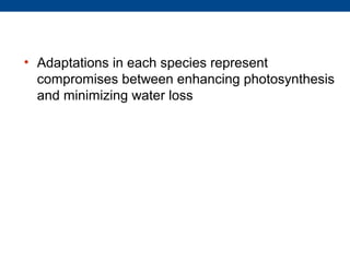 • Adaptations in each species represent
  compromises between enhancing photosynthesis
  and minimizing water loss
 
