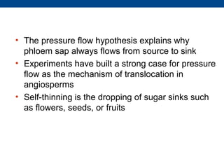 • The pressure flow hypothesis explains why
  phloem sap always flows from source to sink
• Experiments have built a strong case for pressure
  flow as the mechanism of translocation in
  angiosperms
• Self-thinning is the dropping of sugar sinks such
  as flowers, seeds, or fruits
 