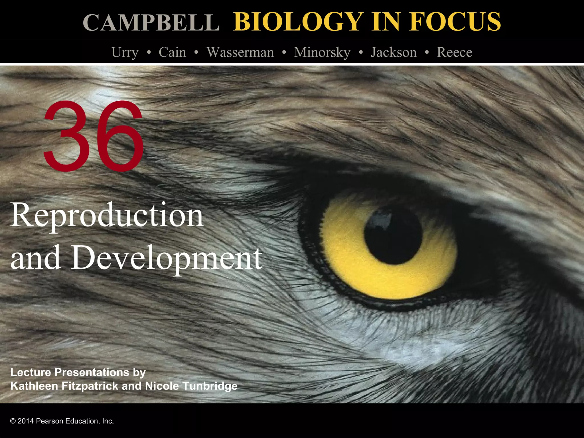 Biology in Focus - Chapter 36 | PPT