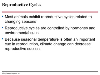 © 2014 Pearson Education, Inc.
Reproductive Cycles
 Most animals exhibit reproductive cycles related to
changing seasons
 Reproductive cycles are controlled by hormones and
environmental cues
 Because seasonal temperature is often an important
cue in reproduction, climate change can decrease
reproductive success
 