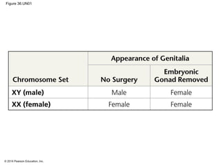© 2014 Pearson Education, Inc.
Figure 36.UN01
 