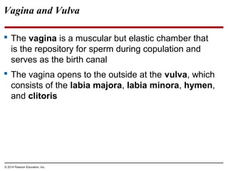 Biology In Focus Chapter 36 PPT