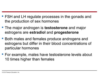 © 2014 Pearson Education, Inc.
 FSH and LH regulate processes in the gonads and
the production of sex hormones
 The major androgen is testosterone and major
estrogens are estradiol and progesterone
 Both males and females produce androgens and
estrogens but differ in their blood concentrations of
particular hormones
 For example, males have testosterone levels about
10 times higher than females
 