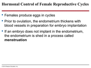 © 2014 Pearson Education, Inc.
Hormonal Control of Female Reproductive Cycles
 Females produce eggs in cycles
 Prior to ovulation, the endometrium thickens with
blood vessels in preparation for embryo implantation
 If an embryo does not implant in the endometrium,
the endometrium is shed in a process called
menstruation
 