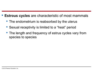 © 2014 Pearson Education, Inc.
 Estrous cycles are characteristic of most mammals
 The endometrium is reabsorbed by the uterus
 Sexual receptivity is limited to a “heat” period
 The length and frequency of estrus cycles vary from
species to species
 
