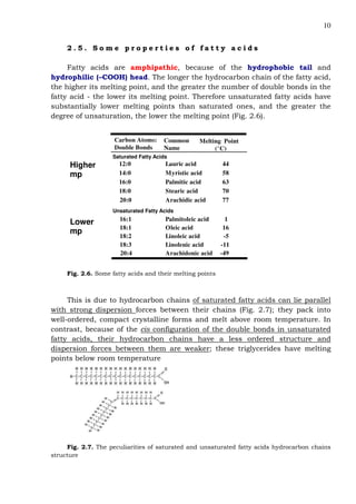 10
2 . 5 . S o m e p r o p e r t i e s o f f a t t y a c i d s
Fatty acids are amphipathic, because of the hydrophobic tail and
hydrophilic (–COOH) head. The longer the hydrocarbon chain of the fatty acid,
the higher its melting point, and the greater the number of double bonds in the
fatty acid - the lower its melting point. Therefore unsaturated fatty acids have
substantially lower melting points than saturated ones, and the greater the
degree of unsaturation, the lower the melting point (Fig. 2.6).
Unsaturated Fatty Acids
Saturated Fatty Acids
20:4
18:3
18:2
18:1
16:1
20:0
18:0
16:0
14:0
12:0
Carbon Atoms:
Double Bonds
Melting Point
(°C)
Common
Name
-49
-11
-5
16
1
77
70
63
58
44
Arachidonic acid
Linolenic acid
Linoleic acid
Oleic acid
Palmitoleic acid
Arachidic acid
Stearic acid
Palmitic acid
Myristic acid
Lauric acidHigher
mp
Lower
mp
Fig. 2.6. Some fatty acids and their melting points
This is due to hydrocarbon chains of saturated fatty acids can lie parallel
with strong dispersion forces between their chains (Fig. 2.7); they pack into
well-ordered, compact crystalline forms and melt above room temperature. In
contrast, because of the cis configuration of the double bonds in unsaturated
fatty acids, their hydrocarbon chains have a less ordered structure and
dispersion forces between them are weaker; these triglycerides have melting
points below room temperature
Fig. 2.7. The peculiarities of saturated and unsaturated fatty acids hydrocarbon chains
structure
 
