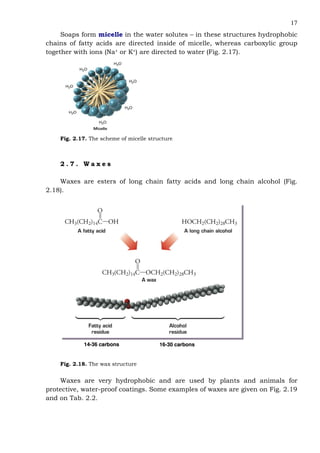 17
Soaps form micelle in the water solutes – in these structures hydrophobic
chains of fatty acids are directed inside of micelle, whereas carboxylic group
together with ions (Na+ or K+) are directed to water (Fig. 2.17).
Fig. 2.17. The scheme of micelle structure
2 . 7 . W a x e s
Waxes are esters of long chain fatty acids and long chain alcohol (Fig.
2.18).
1144--3366 ccaarrbboonnss 1166--3300 ccaarrbboonnss
Fig. 2.18. The wax structure
Waxes are very hydrophobic and are used by plants and animals for
protective, water-proof coatings. Some examples of waxes are given on Fig. 2.19
and on Tab. 2.2.
 
