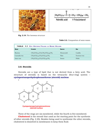18
Fig. 2.19. The beeswax structure
Table 2.2. Composition of some waxes
2.8. Steroids
Steroids are a type of lipid that is not derived from a fatty acid. The
structure of steroids is based on the tetracyclic (four-ring) system –
cyclopentanoperhydrophenanthrene (steroid) nucleus:
•
Cyclopentanoperhydrophenanthrene
(steroid) nucleus
Three of the rings are six-membered, while the fourth is five-membered.
Cholesterol is the steroid that used as the starting point for the synthesis
of other steroids (Fig. 2.20). Besides being used to synthesize the other steroids,
cholesterol is dissolved in membranes to keep them fluid.
 