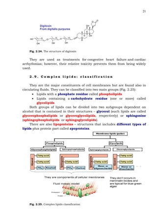 21
Digitoxin
From digitalis purpurea
Fig. 2.24. The structure of digitoxin
They are used as treatments for congestive heart failure and cardiac
arrhythmias; however, their relative toxicity prevents them from being widely
used.
2 . 9 . C o m p l e x l i p i d s : c l a s s i f i c a t i o n
They are the major constituents of cell membranes but are found also in
circulating fluids. They can be classified into two main groups (Fig. 2.25):
• Lipids with a phosphate residue called phospholipids
• Lipids containing a carbohydrate residue (one or more) called
glycolipids
Both groups of lipids can be divided into two subgroups dependent on
alcohol that is contained in their structures – glycerol (such lipids are called
glycerophospholipids or glyceroglycolipids, respectively) or sphingosine
(sphingophospholipids or sphingoglycolipids).
There are also lipoproteins – structures that includes different types of
lipids plus protein part called apoproteins.
Fig. 2.25. Complex lipids classification
 