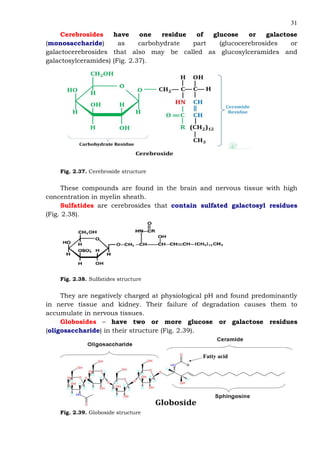 31
Cerebrosides have one residue of glucose or galactose
(monosaccharide) as carbohydrate part (glucocerebrosides or
galactocerebrosides that also may be called as glucosylceramides and
galactosylceramides) (Fig. 2.37).
Fig. 2.37. Cerebroside structure
These compounds are found in the brain and nervous tissue with high
concentration in myelin sheath.
Sulfatides are cerebrosides that contain sulfated galactosyl residues
(Fig. 2.38).
Fig. 2.38. Sulfatides structure
They are negatively charged at physiological pH and found predominantly
in nerve tissue and kidney. Their failure of degradation causes them to
accumulate in nervous tissues.
Globosides – have two or more glucose or galactose residues
(oligosaccharide) in their structure (Fig. 2.39).
Fatty acid
Fig. 2.39. Globoside structure
 