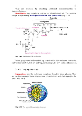 32
They are produced by attaching additional monosaccharides to
glucocerebroside.
Gangliosides are negatively charged at physiological pH. The negative
charge is imparted by N-acetyl neuraminic acid (sialic acid) (Fig. 2.40).
Ceramide
Fatty acid
Sphingosine
Fig. 2.40. Ganglioside GM2 structure
Brain gangliosides may contain up to four sialic acid residues and based
on that they are GM, GD, GT and GQ, containing 1,2,3 or 4 sialic acid residues.
2 . 1 2 . L i p o p r o t e i n s
Lipoproteins are the molecular complexes found in blood plasma. They
are used to transport lipids (triglycerides, phospholipids and cholesterol) in the
blood (Fig. 2.41).
Fig. 2.40. The general lipoproteins structure
 