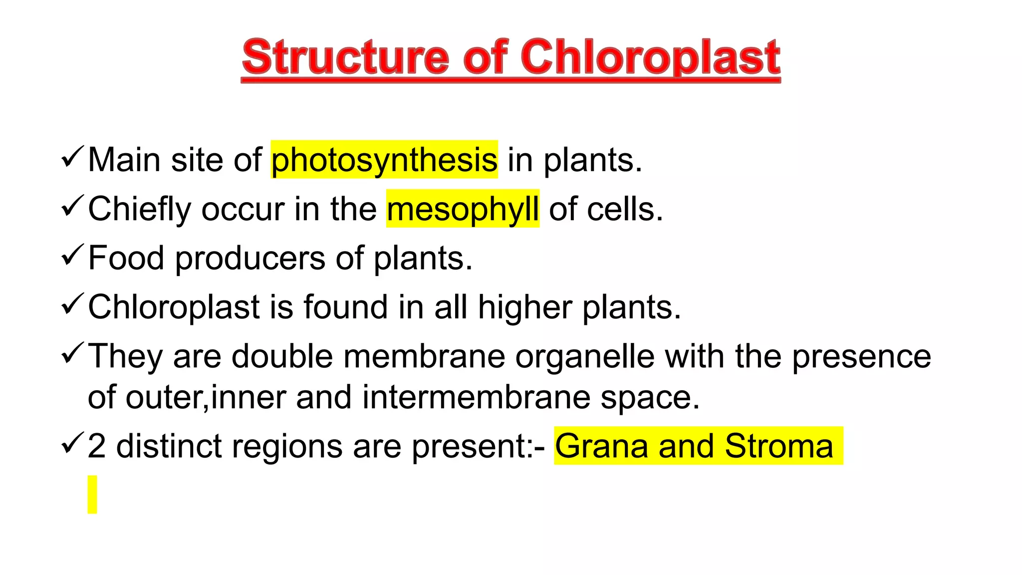Main site of photosynthesis in plants.
Chiefly occur in the mesophyll of cells.
Food producers of plants.
Chloroplast is found in all higher plants.
They are double membrane organelle with the presence
of outer,inner and intermembrane space.
2 distinct regions are present:- Grana and Stroma
 