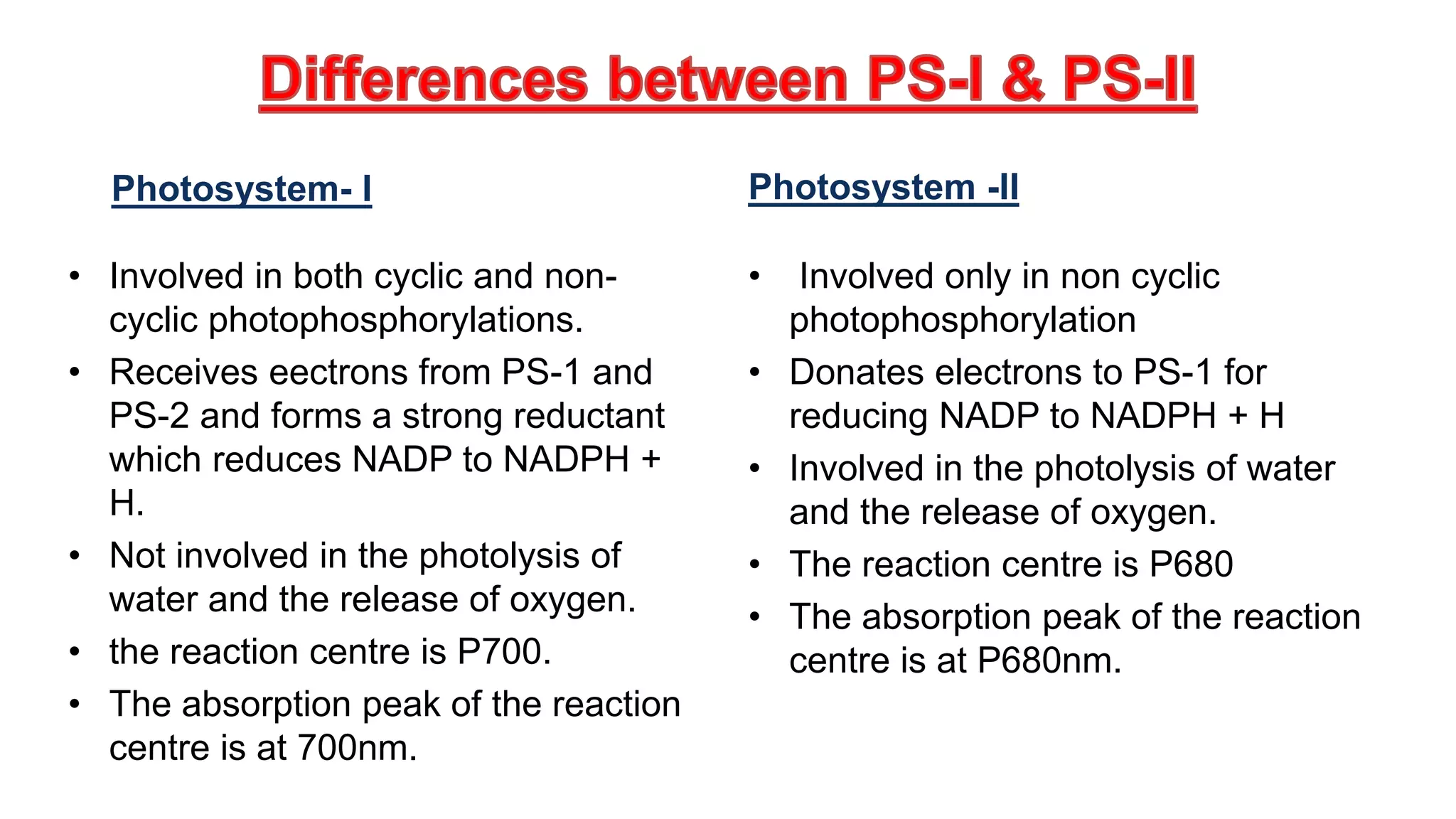 Photosystem- I
• Involved in both cyclic and non-
cyclic photophosphorylations.
• Receives eectrons from PS-1 and
PS-2 and forms a strong reductant
which reduces NADP to NADPH +
H.
• Not involved in the photolysis of
water and the release of oxygen.
• the reaction centre is P700.
• The absorption peak of the reaction
centre is at 700nm.
Photosystem -II
• Involved only in non cyclic
photophosphorylation
• Donates electrons to PS-1 for
reducing NADP to NADPH + H
• Involved in the photolysis of water
and the release of oxygen.
• The reaction centre is P680
• The absorption peak of the reaction
centre is at P680nm.
 