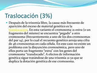 Traslocación (3%)Después de la trisomía libre, la causa más frecuente de aparición del exceso de material genético es la translocación. En esta variante el cromosoma 21 extra (o un fragmento del mismo) se encuentra “pegado” a otro cromosoma (frecuentemente a uno de los dos cromosomas del par 14), por lo cual el recuento genético arroja una cifra de 46 cromosomas en cada célula. En este caso no existe un problema con la disyunción cromosómica, pero uno de ellos porta un fragmento “extra” con los genes del cromosoma “translocado”. A efectos de información genética sigue tratándose de una trisomía 21 ya que se duplica la dotación genética de ese cromosoma.