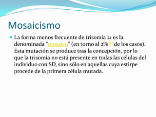 MosaicismoLa forma menos frecuente de trisomía 21 es la denominada “mosaico” (en torno al 2%[6] de los casos). Esta mutación se produce tras la concepción, por lo que la trisomía no está presente en todas las células del individuo con SD, sino sólo en aquellas cuya estirpe procede de la primera célula mutada.
