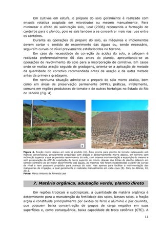 11
Em cultivos em estufa, o preparo do solo geralmente é realizado com
enxada rotativa acoplada em microtrator ou mesmo manualmente. Para
minimizar o efeito da salinização solo, Leal (2006) recomenda a formação de
canteiros para o plantio, pois os sais tendem a se concentrar mais nas ruas entre
os canteiros.
Durante as operações de preparo do solo, as máquinas e implementos
devem cortar o sentido de escorrimento das águas ou, sendo necessário,
seguirem curvas de nível previamente estabelecidas no terreno.
Em caso de necessidade de correção de acidez do solo, a calagem é
realizada preferencialmente 60 dias antes do plantio, aproveitando-se as
operações de revolvimento do solo para a incorporação do corretivo. Em casos
onde se realiza aração seguida de gradagens, orienta-se a aplicação de metade
da quantidade do corretivo recomendada antes da aração e da outra metade
antes da primeira gradagem.
Em nenhuma situação admite-se o preparo do solo morro abaixo, bem
como em áreas de preservação permanente (APPs), práticas, infelizmente,
comuns em regiões produtoras de tomate e de outras hortaliças no Estado do Rio
de Janeiro (Fig. 4).
Figura 4. Aração morro abaixo em solo já erodido (A). Área pronta para plantio de tomate estaqueado sob
manejo convencional, previamente preparada com aração e destorroamento morro abaixo, em terreno com
inclinação superior a que se permite revolvimento do solo, com intensa movimentação e exposição do mesmo e
sem preservação da APP de vegetação de terço superior de morro. Apesar das linhas de plantio estarem em
sentido contrário ao de maior escorrimento das águas, as mesmas não foram estabelecidas a partir de curvas
de nível e nem possuem propósito para manejo do solo, mas apenas para facilitar a movimentação das
mangueiras de irrigação, a qual geralmente é realizada manualmente em cada cova (B). Paty do Alferes, RJ,
2012.
Fotos: Marco Antonio de Almeida Leal
7. Matéria orgânica, adubação verde, plantio direto
Em regiões tropicais e subtropicais, a quantidade de matéria orgânica é
determinante para a manutenção da fertilidade dos solos. Nesses solos, a fração
argila é constituída principalmente por óxidos de ferro e alumínio e por caulinita,
que possuem baixa concentração de grupos de carga negativa em suas
superfícies e, como consequência, baixa capacidade de troca catiônica (CTC). A
A B
 