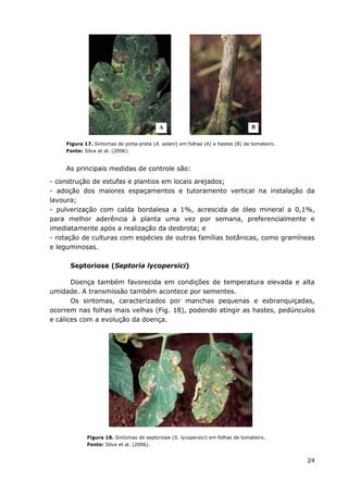 24
Figura 17. Sintomas de pinta-preta (A. solani) em folhas (A) e hastes (B) de tomateiro.
Fonte: Silva et al. (2006).
As principais medidas de controle são:
- construção de estufas e plantios em locais arejados;
- adoção dos maiores espaçamentos e tutoramento vertical na instalação da
lavoura;
- pulverização com calda bordalesa a 1%, acrescida de óleo mineral a 0,1%,
para melhor aderência à planta uma vez por semana, preferencialmente e
imediatamente após a realização da desbrota; e
- rotação de culturas com espécies de outras famílias botânicas, como gramíneas
e leguminosas.
Septoriose (Septoria lycopersici)
Doença também favorecida em condições de temperatura elevada e alta
umidade. A transmissão também acontece por sementes.
Os sintomas, caracterizados por manchas pequenas e esbranquiçadas,
ocorrem nas folhas mais velhas (Fig. 18), podendo atingir as hastes, pedúnculos
e cálices com a evolução da doença.
Figura 18. Sintomas de septoriose (S. lycopersici) em folhas de tomateiro.
Fonte: Silva et al. (2006).
A B
 