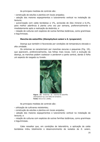 25
As principais medidas de controle são:
- construção de estufas e plantios em locais arejados;
- adoção dos maiores espaçamentos e tutoramento vertical na instalação da
lavoura;
- pulverização com calda bordalesa a 1%, acrescida de óleo mineral a 0,1%,
para melhor aderência à planta uma vez por semana, preferencialmente e
imediatamente após a realização da desbrota; e
- rotação de culturas com espécies de outras famílias botânicas, como gramíneas
e leguminosas.
Mancha-de-estenfílio (Stemphylium solani e S. lycopersici)
Doença que também é favorecida por condições de temperatura elevada e
alta umidade.
Os sintomas se caracterizam por manchas escuras e pequenas (Fig. 19),
que aparecem, preferencialmente, nas folhas mais novas. Com a evolução da
doença, as manchas podem coalescer e perderem a parte central, dando à folha
um aspecto de rasgado ou furado.
Figura 19. Sintomas de mancha-de-estenfílio
(Stemphilium sp.) em folha de tomateiro.
Fonte: Silva et al. (2006).
As principais medidas de controle são:
- utilização de cultivares resistentes;
- construção de estufas e plantios em locais arejados;
- adoção dos maiores espaçamentos e tutoramento vertical na instalação da
lavoura; e
- rotação de culturas com espécies de outras famílias botânicas, como gramíneas
e leguminosas.
Cabe ressaltar que, em condições de laboratório, a aplicação de calda
bordalesa inibiu totalmente o desenvolvimento de isolados de S. solani,
 