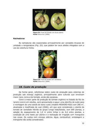 32
Figura 24. Frutos de tomate com lóculo aberto.
Fonte: Silva et al. (2006).
Rachaduras
As rachaduras são ocasionadas principalmente por variações bruscas de
umidade e temperatura (Fig. 25), que podem ter seus efeitos mitigados com o
uso de cobertura morta.
Figura 25. Fruto de tomate com rachadura.
Fonte: Silva et al. (2006).
18. Custo de produção
De forma geral, referências sobre custo de produção para sistemas de
produção sob manejo orgânico, principalmente para culturas que envolvam
maior risco, como a do tomate, ainda são escassas.
Como a maior parte da produção de tomate orgânico no Estado do Rio de
Janeiro ocorre em estufas, será apresentada a seguir uma planilha de custo para
a montagem de uma estufa de baixo custo (modelo PESAGRO-RIO) com 280 m2
,
atualizada e modificada de Leal (2006), em que será considerado o plantio de
tomate de variedade híbrida do grupo Longa Vida/Salada, com 680 plantas, a
adoção do espaçamento de 1,0 m entre linhas e de 0,4 entre plantas, a
condução de uma haste por planta e a realização de irrigação com mangueira
nas covas. Os custos com energia elétrica, água, combustível, embalagem e
transporte não serão considerados.
 