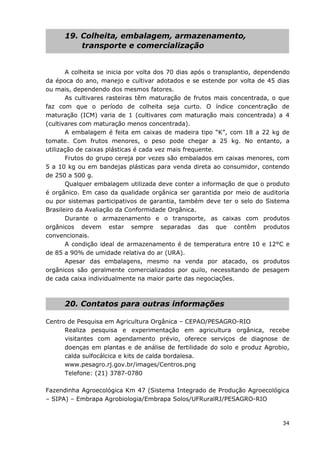 34
19. Colheita, embalagem, armazenamento,
transporte e comercialização
A colheita se inicia por volta dos 70 dias após o transplantio, dependendo
da época do ano, manejo e cultivar adotados e se estende por volta de 45 dias
ou mais, dependendo dos mesmos fatores.
As cultivares rasteiras têm maturação de frutos mais concentrada, o que
faz com que o período de colheita seja curto. O índice concentração de
maturação (ICM) varia de 1 (cultivares com maturação mais concentrada) a 4
(cultivares com maturação menos concentrada).
A embalagem é feita em caixas de madeira tipo “K”, com 18 a 22 kg de
tomate. Com frutos menores, o peso pode chegar a 25 kg. No entanto, a
utilização de caixas plásticas é cada vez mais frequente.
Frutos do grupo cereja por vezes são embalados em caixas menores, com
5 a 10 kg ou em bandejas plásticas para venda direta ao consumidor, contendo
de 250 a 500 g.
Qualquer embalagem utilizada deve conter a informação de que o produto
é orgânico. Em caso da qualidade orgânica ser garantida por meio de auditoria
ou por sistemas participativos de garantia, também deve ter o selo do Sistema
Brasileiro da Avaliação da Conformidade Orgânica.
Durante o armazenamento e o transporte, as caixas com produtos
orgânicos devem estar sempre separadas das que contêm produtos
convencionais.
A condição ideal de armazenamento é de temperatura entre 10 e 12°C e
de 85 a 90% de umidade relativa do ar (URA).
Apesar das embalagens, mesmo na venda por atacado, os produtos
orgânicos são geralmente comercializados por quilo, necessitando de pesagem
de cada caixa individualmente na maior parte das negociações.
20. Contatos para outras informações
Centro de Pesquisa em Agricultura Orgânica – CEPAO/PESAGRO-RIO
Realiza pesquisa e experimentação em agricultura orgânica, recebe
visitantes com agendamento prévio, oferece serviços de diagnose de
doenças em plantas e de análise de fertilidade do solo e produz Agrobio,
calda sulfocálcica e kits de calda bordalesa.
www.pesagro.rj.gov.br/images/Centros.png
Telefone: (21) 3787-0780
Fazendinha Agroecológica Km 47 (Sistema Integrado de Produção Agroecológica
– SIPA) – Embrapa Agrobiologia/Embrapa Solos/UFRuralRJ/PESAGRO-RIO
 