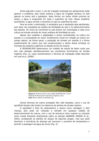 7
Ainda segundo o autor, o uso de irrigação localizada por gotejamento pode
agravar o problema, pois nesse sistema a água de irrigação penetra no solo
apenas no ponto sob o gotejador. Após formar um bulbo úmido próximo às
raízes, a água é evaporada em toda a superfície do solo. Nessa trajetória
ascendente, a água carreia e concentra os sais na superfície do solo.
Para se evitar a salinização, é necessário que a adubação seja equilibrada,
com base nos resultados de análise de fertilidade do solo e no desenvolvimento
das plantas. Os níveis de nutrientes no solo devem ser controlados a cada nova
cultura de tomate através de novas análises de fertilidade do solo.
Apesar dos cuidados e adaptações a serem considerados no cultivo em
estufas e a necessidade de maior investimento inicial em relação ao cultivo em
campo aberto, de forma geral, a produção de tomate em estufas é a forma
predominante de cultivo que tem proporcionado a oferta dessa hortaliça no
mercado de produtos orgânicos no Estado do Rio de Janeiro.
A PESAGRO-RIO desenvolveu um modelo de estufa de baixo custo que
tem sido adotado satisfatoriamente por produtores fluminenses de tomate
orgânico (Fig. 2), cujas características e técnicas de instalação estão descritas
em Leal et al. (2006).
Figura 2. Estufa de baixo custo modelo PESAGRO-RIO. Centro
Estadual de Pesquisa em Agricultura Orgânica. 2011.
Foto: Marco Antonio de Almeida Leal
Outras técnicas de cultivo protegido têm sido testadas, como o uso de
agrotêxtil (tecido não tecido) na cobertura de plantas de tomate rasteiro.
O agrotêxtil é feito de polipropileno e possui como vantagem o fácil
manejo, pois pode ser colocado e retirado em qualquer estádio de
desenvolvimento da cultura, com o uso de estrutura como suporte ou colocado
como manta flutuante diretamente sobre as plantas (BARROS JÚNIOR et al.,
2004), protegendo as plantas do ataque de algumas pragas, mas que pode
favorecer a ocorrência de doenças por provocar o aumento de temperatura e
permitir a passagem da água da chuva (Fig. 3).
 