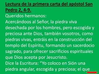 Lectura de la primera carta del apóstol San
Pedro 2, 4-9.
Queridos hermanos:
Acercándoos al Señor, la piedra viva
desechad...