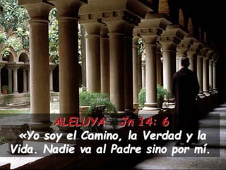 ALELUYA Jn 14: 6
«Yo soy el Camino, la Verdad y la
Vida. Nadie va al Padre sino por mí.
 