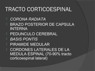 TRACTO CORTICOESPINAL
 CORONA RADIATA
 BRAZO POSTERIOR DE CAPSULA
INTERNA
 PEDUNCULO CEREBRAL
 BASIS PONTIS
 PIRAMIDE MEDULAR
 CORDONES LATERALES DE LA
MEDULA ESPINAL (70-90% tracto
corticoespinal lateral)
 