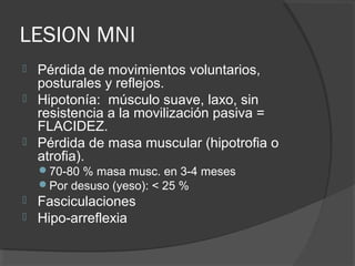 LESION MNI
 Pérdida de movimientos voluntarios,
posturales y reflejos.
 Hipotonía: músculo suave, laxo, sin
resistencia a la movilización pasiva =
FLACIDEZ.
 Pérdida de masa muscular (hipotrofia o
atrofia).
70-80 % masa musc. en 3-4 meses
Por desuso (yeso): < 25 %
 Fasciculaciones
 Hipo-arreflexia
 