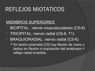 REFLEJOS MIOTATICOS
MIEMBROS SUPERIORES
 BICIPITAL : nervio musculocutáneo (C5-6)
 TRICIPITAL: nervio radial (C6-8, T1)
 BRAQUIORADIAL: nervio radial (C5-6)
En lesión piramidal (C5) hay flexión de mano y
dedos sin flexión ni supinación del antebrazo =
reflejo radial invertido.
 