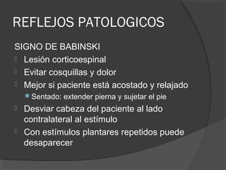 REFLEJOS PATOLOGICOS
SIGNO DE BABINSKI
 Lesión corticoespinal
 Evitar cosquillas y dolor
 Mejor si paciente está acostado y relajado
Sentado: extender pierna y sujetar el pie
 Desviar cabeza del paciente al lado
contralateral al estímulo
 Con estímulos plantares repetidos puede
desaparecer
 