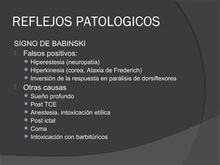 REFLEJOS PATOLOGICOS
SIGNO DE BABINSKI
 Falsos positivos:
 Hiperestesia (neuropatía)
 Hiperkinesia (corea, Ataxia de Frederich)
 Inversión de la respuesta en parálisis de dorsiflexores
 Otras causas
 Sueño profundo
 Post TCE
 Anestesia, intoxicación etílica
 Post ictal
 Coma
 Intoxicación con barbitúricos
 