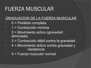 FUERZA MUSCULAR
GRADUACION DE LA FUERZA MUSCULAR
 0 = Parálisis completa
 1 = Contracción mínima
 2 = Movimiento activo (gravedad
eliminada)
 3 = Contracción débil contra la gravedad
 4 = Movimiento activo contra gravedad y
resistencia
 5 = Fuerza muscular normal
 