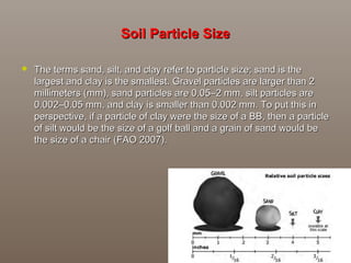 Soil Particle SizeSoil Particle Size
 The terms sand, silt, and clay refer to particle size; sand is theThe terms sand, silt, and clay refer to particle size; sand is the
largest and clay is the smallest. Gravel particles are larger than 2largest and clay is the smallest. Gravel particles are larger than 2
millimeters (mm), sand particles are 0.05–2 mm, silt particles aremillimeters (mm), sand particles are 0.05–2 mm, silt particles are
0.002–0.05 mm, and clay is smaller than 0.002 mm. To put this in0.002–0.05 mm, and clay is smaller than 0.002 mm. To put this in
perspective, if a particle of clay were the size of a BB, then a particleperspective, if a particle of clay were the size of a BB, then a particle
of silt would be the size of a golf ball and a grain of sand would beof silt would be the size of a golf ball and a grain of sand would be
the size of a chair (FAO 2007).the size of a chair (FAO 2007).
 