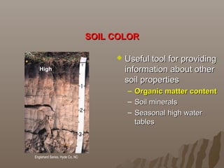 SOIL COLORSOIL COLOR
 Useful tool for providingUseful tool for providing
information about otherinformation about other
soil propertiessoil properties
– Organic matter contentOrganic matter content
– Soil mineralsSoil minerals
– Seasonal high waterSeasonal high water
tablestables
Englehard Series, Hyde Co, NC
High
Low
 