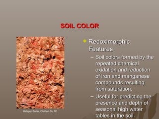 SOIL COLORSOIL COLOR
 RedoximorphicRedoximorphic
FeaturesFeatures
– Soil colors formed by theSoil colors formed by the
repeated chemicalrepeated chemical
oxidation and reductionoxidation and reduction
of iron and manganeseof iron and manganese
compounds resultingcompounds resulting
from saturation.from saturation.
– Useful for predicting theUseful for predicting the
presence and depth ofpresence and depth of
seasonal high waterseasonal high water
tables in the soil.tables in the soil.
Mattaponi Series, Chatham Co, NC
 
