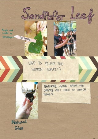 Scrapebook Taman Negara