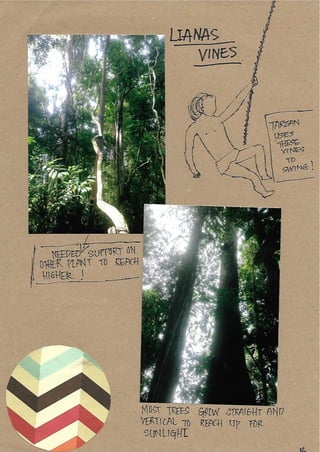 Scrapebook Taman Negara