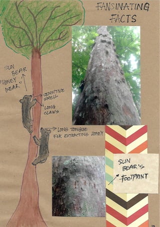 Scrapebook Taman Negara