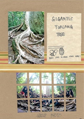 Scrapebook Taman Negara