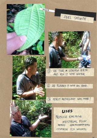 Scrapebook Taman Negara