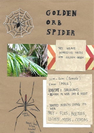 Scrapebook Taman Negara