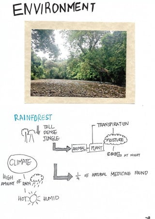 Scrapebook Taman Negara