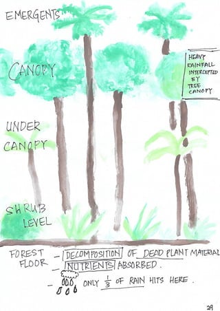 Scrapebook Taman Negara