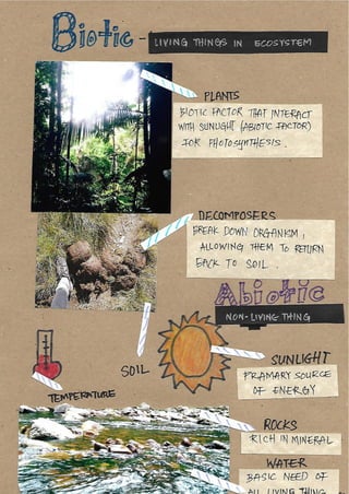 Scrapebook Taman Negara