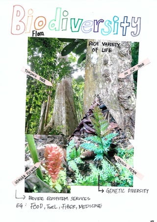 Scrapebook Taman Negara