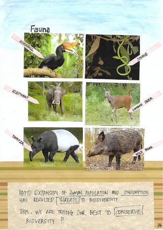 Scrapebook Taman Negara