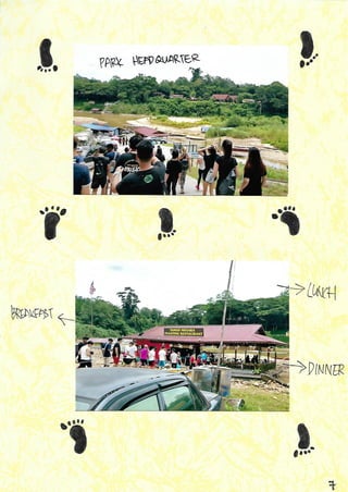 Scrapebook Taman Negara