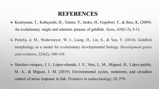 Image showcasing Goldfish Introduction , Morphology & its behaviour characteristics | PDF